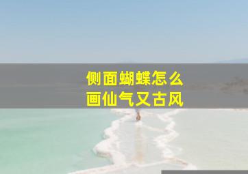 侧面蝴蝶怎么画仙气又古风