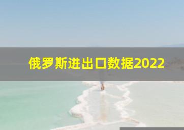 俄罗斯进出口数据2022