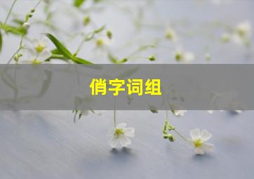 俏字词组