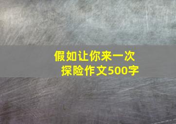 假如让你来一次探险作文500字