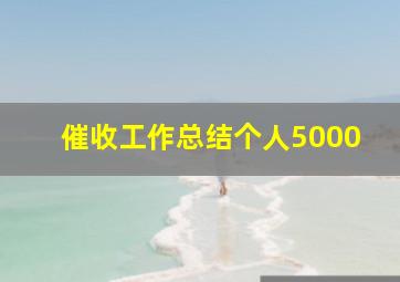 催收工作总结个人5000