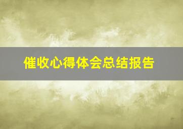 催收心得体会总结报告