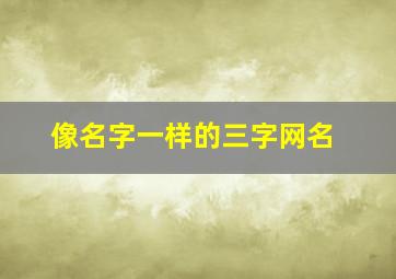 像名字一样的三字网名