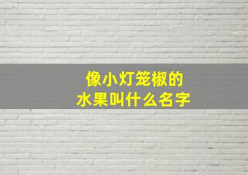 像小灯笼椒的水果叫什么名字