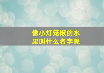 像小灯笼椒的水果叫什么名字呢