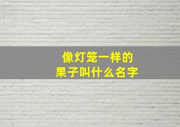 像灯笼一样的果子叫什么名字