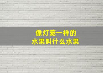 像灯笼一样的水果叫什么水果