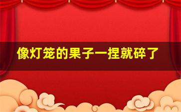 像灯笼的果子一捏就碎了