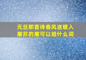 元旦那首诗春风送暖入屠苏的屠可以组什么词