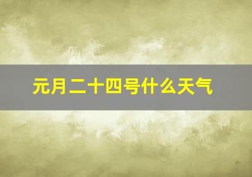 元月二十四号什么天气