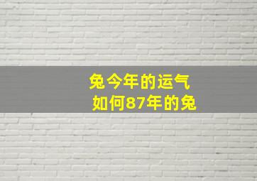 兔今年的运气如何87年的兔