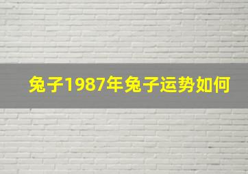 兔子1987年兔子运势如何