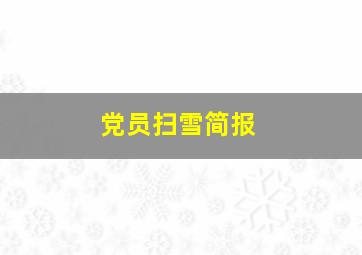 党员扫雪简报