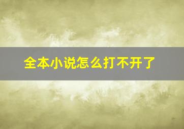 全本小说怎么打不开了