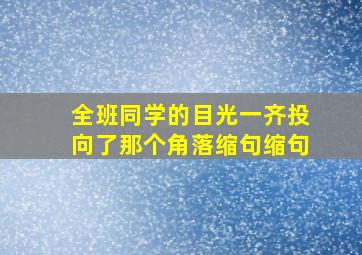 全班同学的目光一齐投向了那个角落缩句缩句