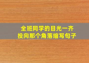 全班同学的目光一齐投向那个角落缩写句子