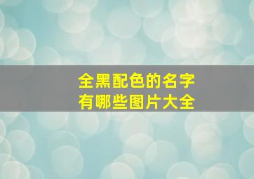 全黑配色的名字有哪些图片大全