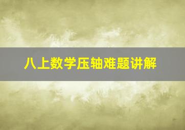 八上数学压轴难题讲解