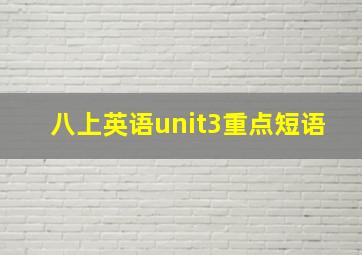 八上英语unit3重点短语