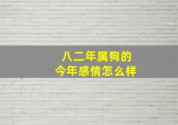 八二年属狗的今年感情怎么样