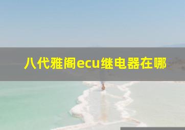 八代雅阁ecu继电器在哪