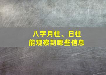 八字月柱、日柱能观察到哪些信息