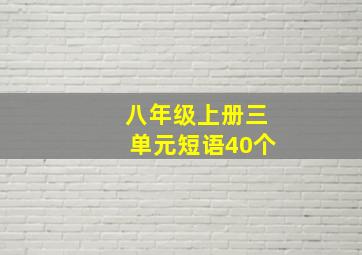 八年级上册三单元短语40个