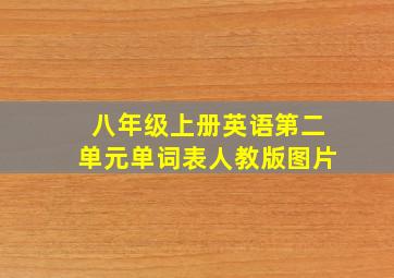 八年级上册英语第二单元单词表人教版图片