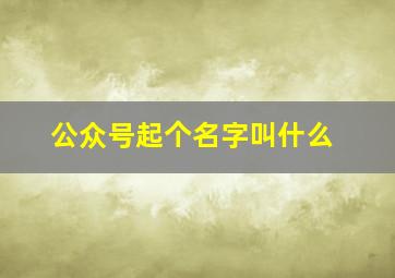 公众号起个名字叫什么