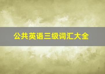 公共英语三级词汇大全