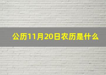 公历11月20日农历是什么