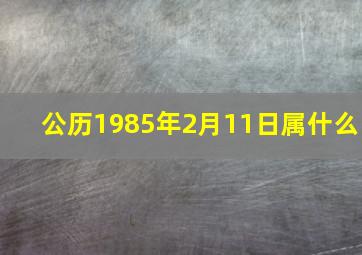 公历1985年2月11日属什么