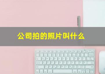 公司拍的照片叫什么