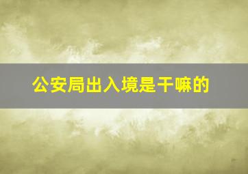 公安局出入境是干嘛的