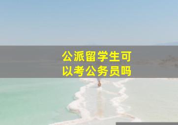 公派留学生可以考公务员吗