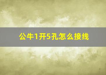 公牛1开5孔怎么接线