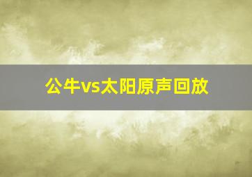 公牛vs太阳原声回放