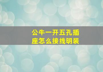 公牛一开五孔插座怎么接线明装