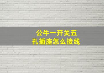 公牛一开关五孔插座怎么接线