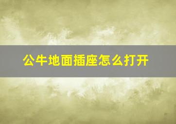 公牛地面插座怎么打开