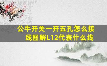 公牛开关一开五孔怎么接线图解L12代表什么线