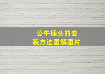 公牛插头的安装方法图解图片