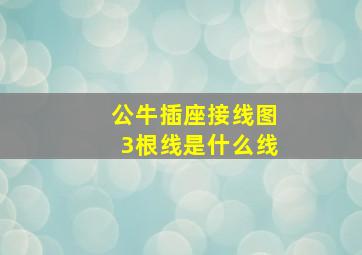 公牛插座接线图3根线是什么线