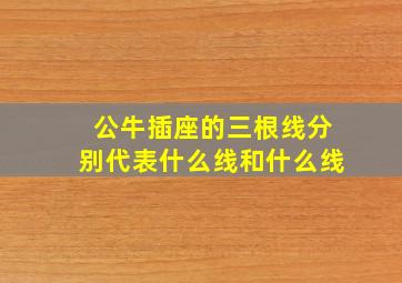 公牛插座的三根线分别代表什么线和什么线