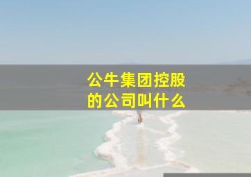 公牛集团控股的公司叫什么