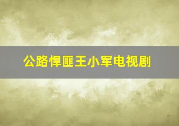 公路悍匪王小军电视剧