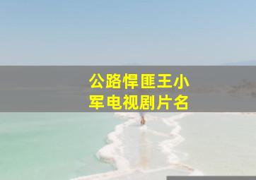 公路悍匪王小军电视剧片名