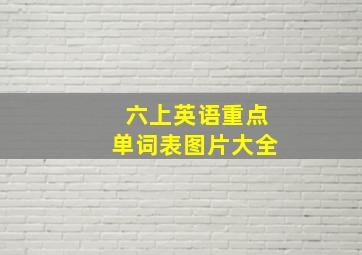 六上英语重点单词表图片大全