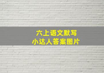 六上语文默写小达人答案图片