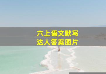 六上语文默写达人答案图片